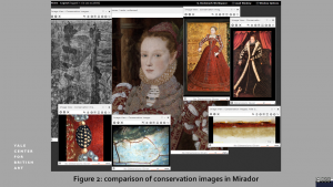 figure 2:comparison of conservation images in Mirador