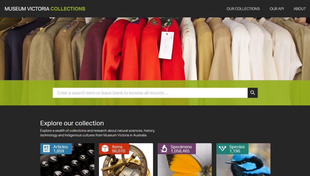 Website with search bar and colourful jacket collection